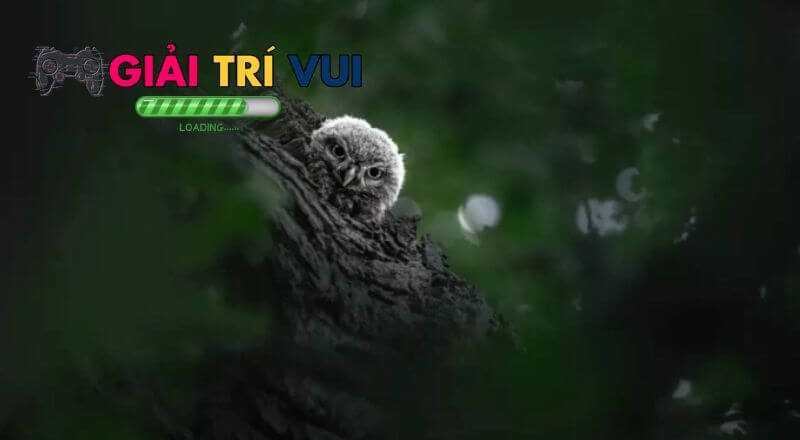 Tác phẩm của Louise Norris xếp thứ nhất tại hạng mục chụp các loài chim