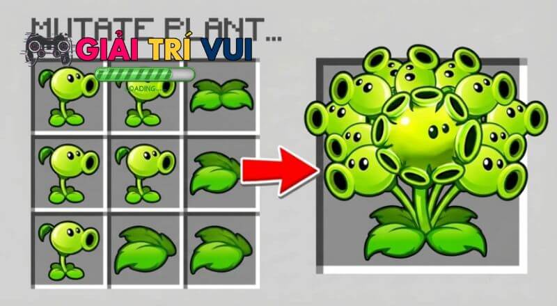 Tại sao nên sử dụng Code Plants Evolution?